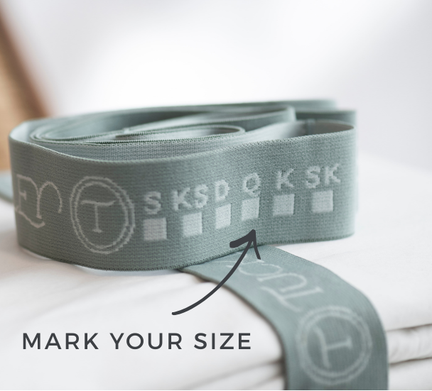 The Bands